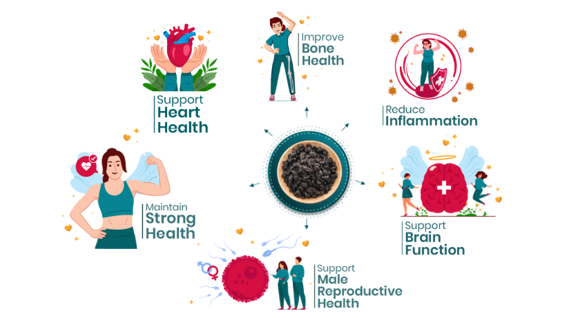 41 Foods 100 % Premium Healthy Dry Fruits Combo of Almond, Cashew, Black Raisins - Combo