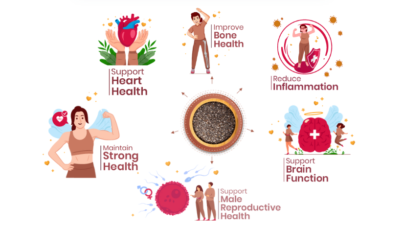 41Foods Healthy Seed Mix I Eats Raw Pumpkin, Sunflower, Chia Seeds | Raw Edible Seeds Combo | All Premium