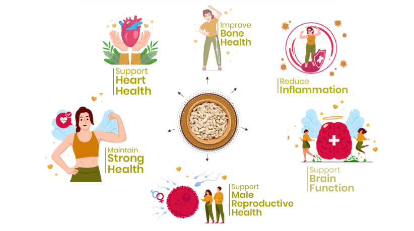 41Foods Healthy Seed Mix I Eats Raw Pumpkin, Sunflower, Chia Seeds | Raw Edible Seeds Combo | All Premium