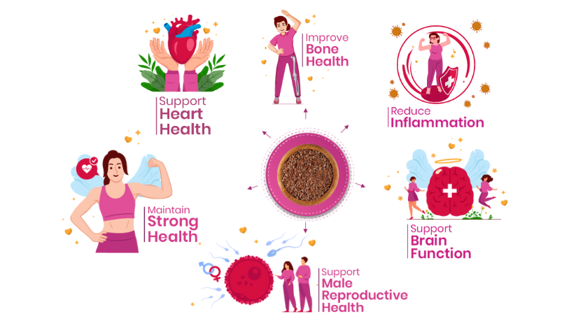 41 Foods 100% Premium Healthy Super Seeds Combo – Chia, Flax & Pumpkin Seeds | Raw, High Fiber, Plant Protein | Omega-3 Rich | Vegan, Keto & Gluten-Free Superfood for Daily Wellness.