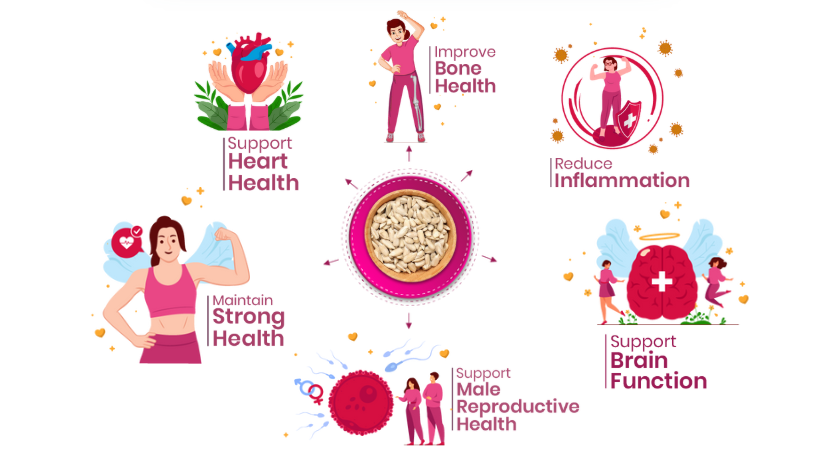 41Foods Raw Seeds Combo for eating - | Chia, Flax, Pumpkin, Watermelon, Sunflower Seeds - Combo | Weight management | Healthy and Nutritious |