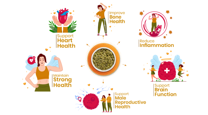 41Foods Healthy Seed Mix I Eats Raw Pumpkin, Sunflower, Chia Seeds | Raw Edible Seeds Combo | All Premium