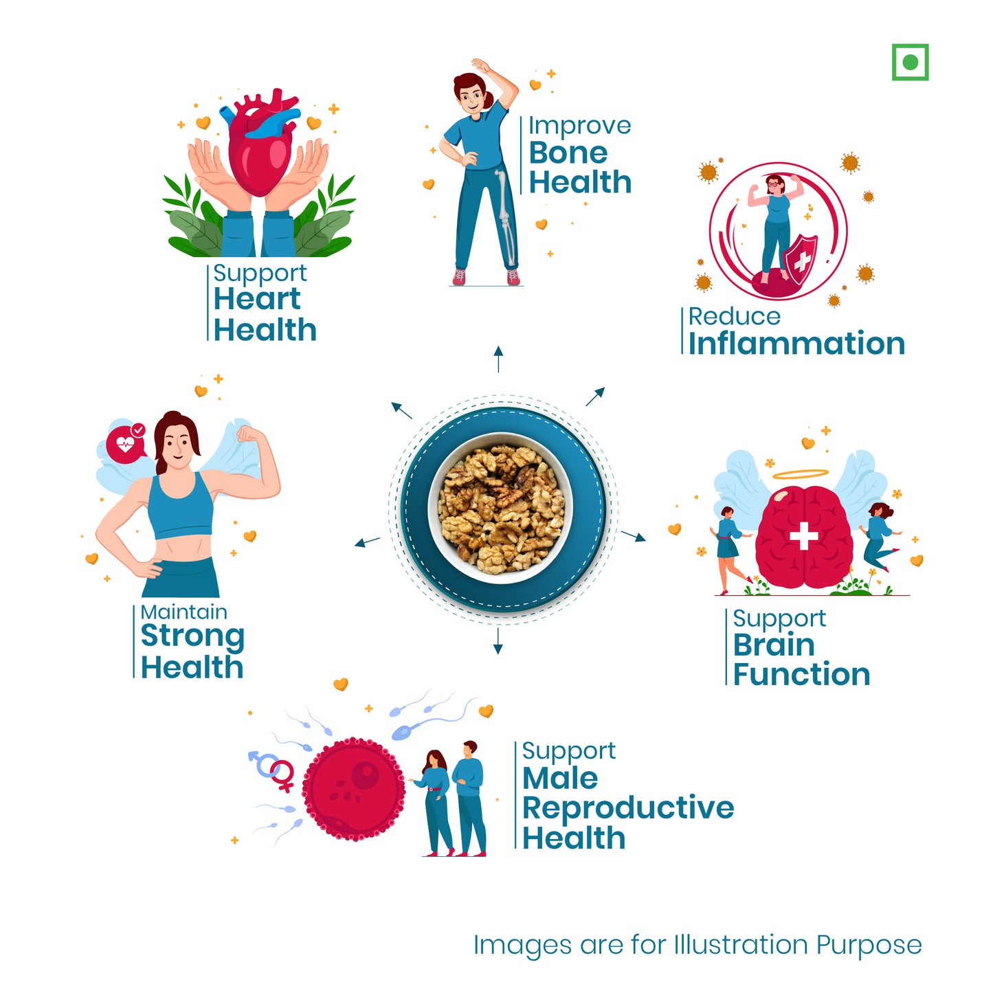 41Foods Healthy Dry Premium Walnut - Twin - Combo