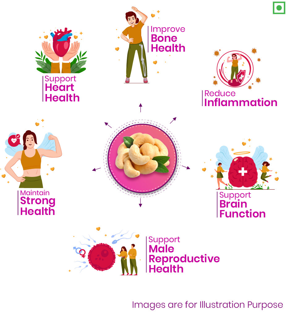 41 Foods  100% Premium Pure Cashews Whole, Kaju,  Nutritious & Delicious, Premium Kaju Nuts, Rich In Protein, Magnesium & Phosphorus, Deluxe Size & Crunchy Nuts
