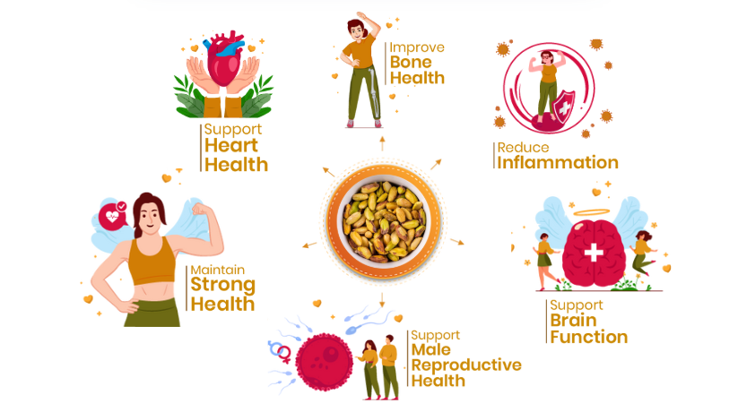 41 Foods 100 % Premium Healthy Dry Fruits  Combo of Pistachios, Almond, Cashew,  Raisins, Walnut, Fig - Combo