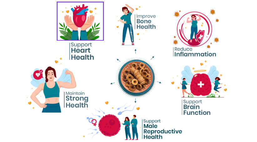 41 Foods 100 % Premium Healthy Dry Fruits  Combo of Pistachios, Almond, Cashew,  Raisins, Walnut, Fig - Combo