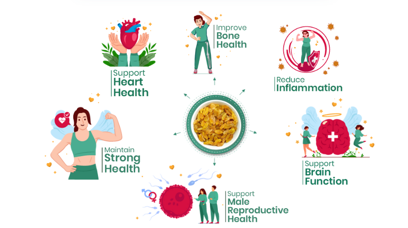 41 Foods 100 % Premium Healthy Dry Fruits  Combo of Pistachios, Almond, Cashew,  Raisins, Walnut, Fig - Combo