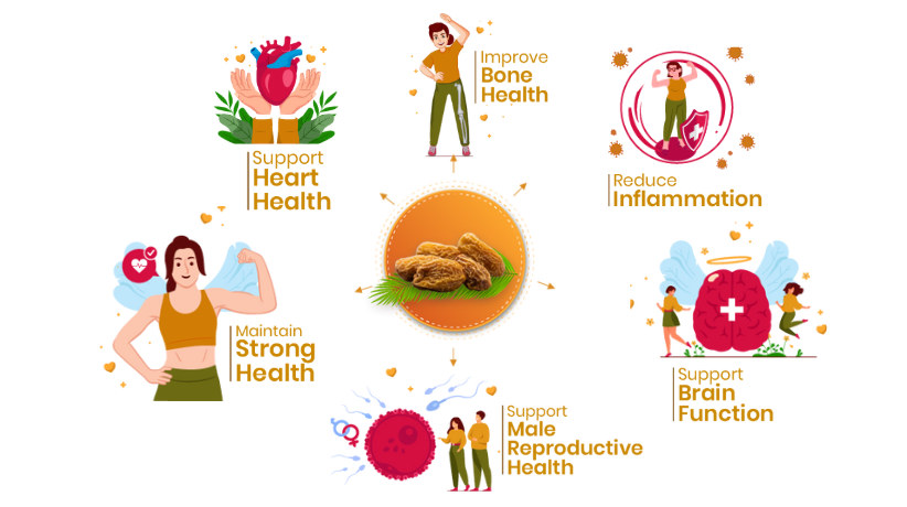 41 Foods 100 % Premium Healthy Dry Fruits  Combo of  Almond,Pistachios, Fig, Raisins, Yellow  Date - Combo