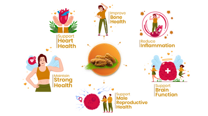 41 Foods 100 % Premium Healthy Dry Fruits  Combo of  Almond,Pistachios, Fig, Raisins, Yellow  Date - Combo