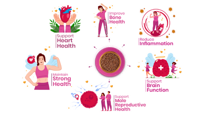 41Foods Energy Chia Seeds I Flax Seeds I Sunflower Seeds I Pumpkin Seeds | Seeds for Eating | Diet Snacks Combo
