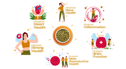41Foods Energy Chia Seeds I Flax Seeds I Sunflower Seeds I Pumpkin Seeds | Seeds for Eating | Diet Snacks Combo