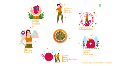 41 Foods 100% Premium Seeds I  Pumpkin Seeds | Grade Pumpkin Seeds for eating | Immunity Booster and Fiber Rich.