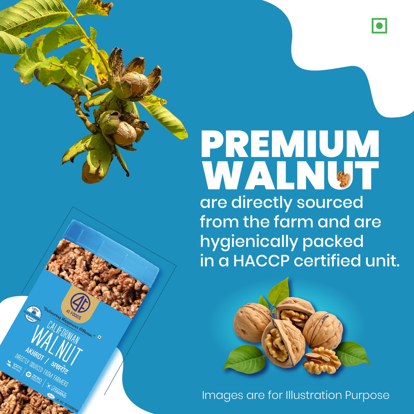 41Foods Healthy Dry Premium Walnut - Twin - Combo